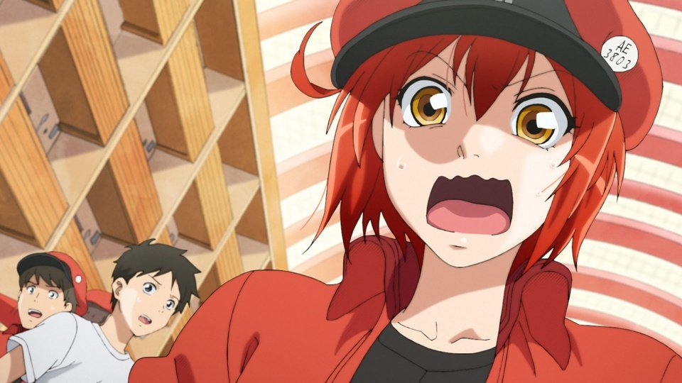 Cells at Work! retrasa su obra kabuki hasta 2027 y ficha a Ainosuke Kataoka como glóbulo blanco
